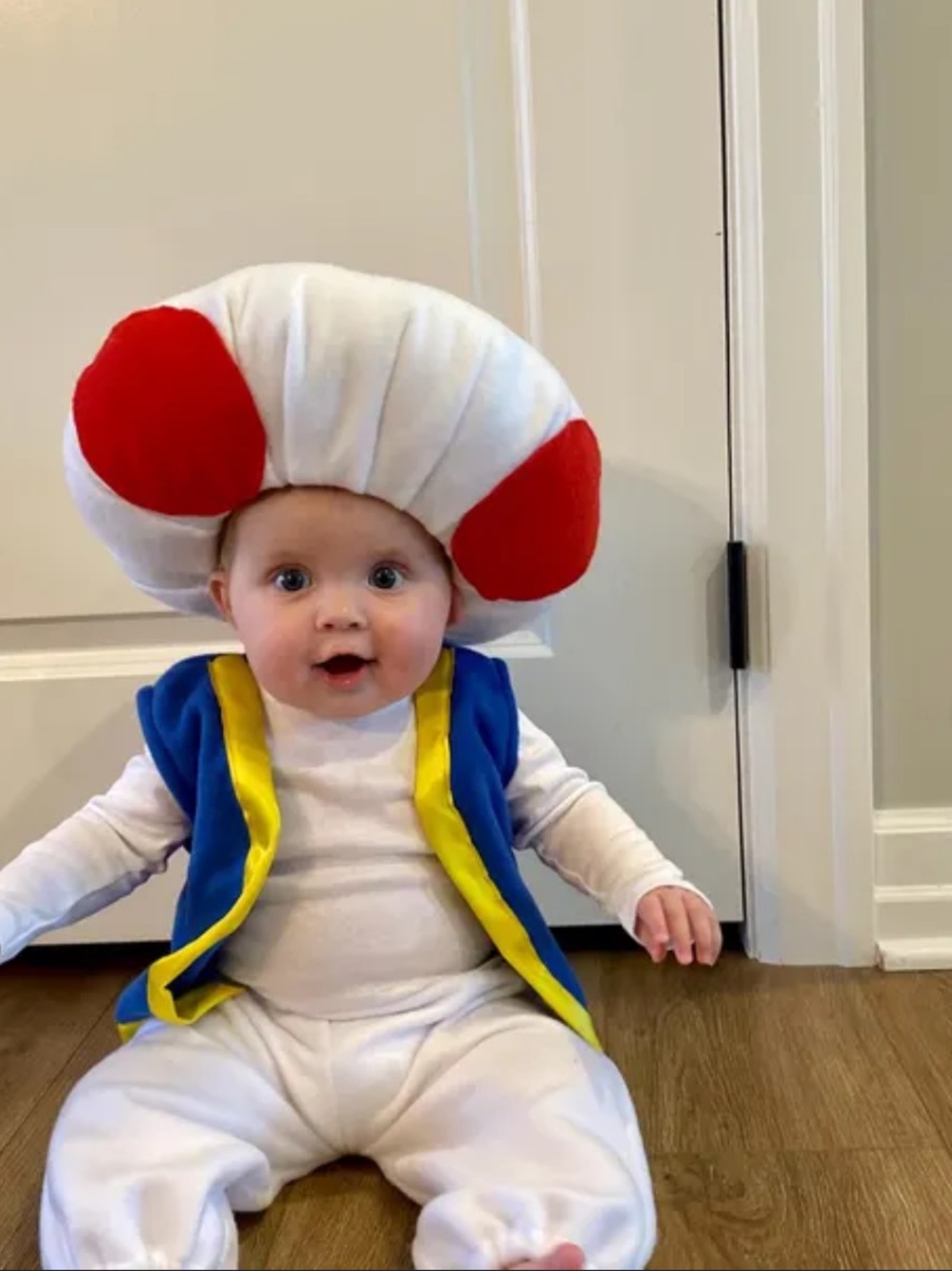 Pottery Barn Kids Red & White Toadstool Baby Costume with Blue & Yellow Vest